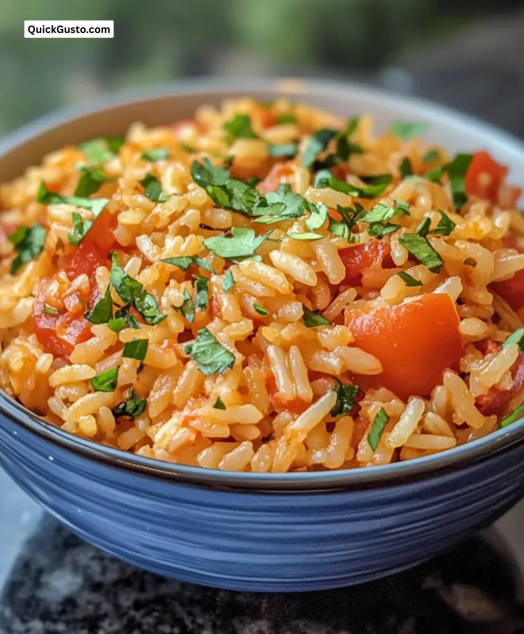Easy Instant Pot tomato rice recipe served in a bowl.