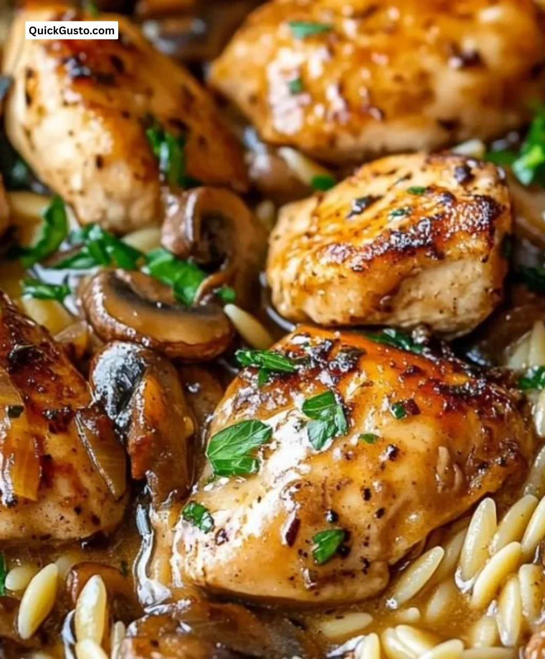 Plate of Chicken Marsala Orzo with herbs and a wine sauce