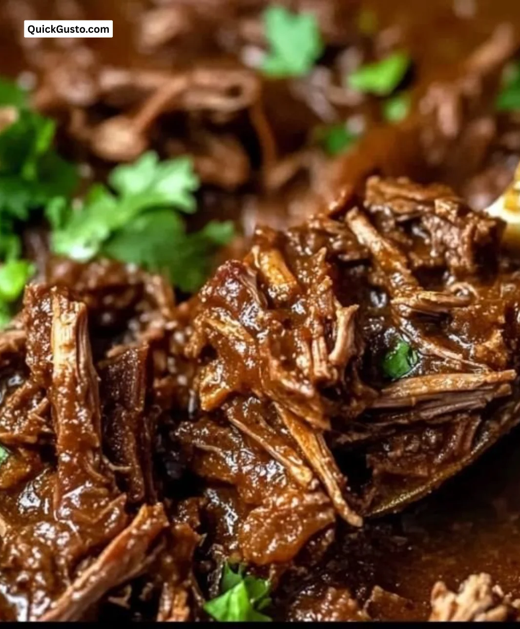 Delicious slow cooker barbacoa served with fresh toppings
