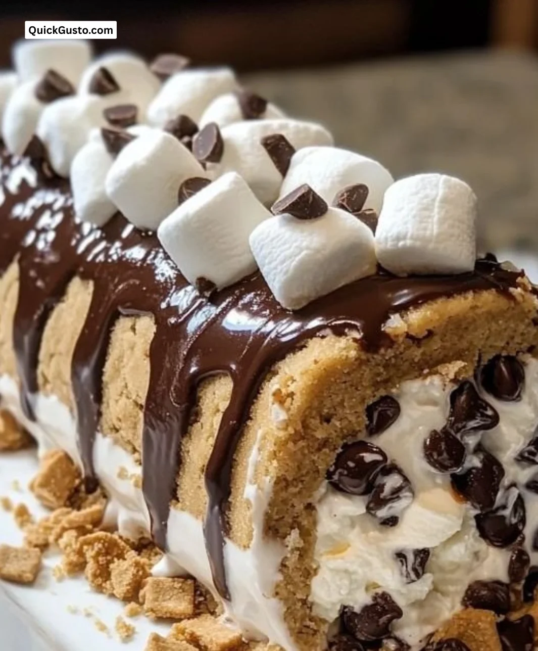 Delicious S'mores cookie dough ice cream roll with chocolate and marshmallow