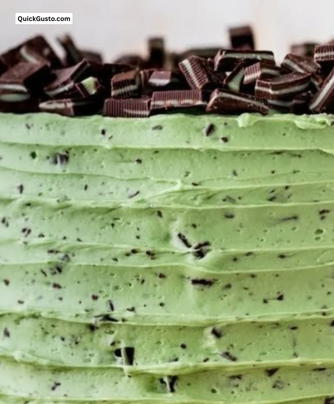 Decadent Chocolate Mint Layered Cake with rich chocolate and mint frosting.