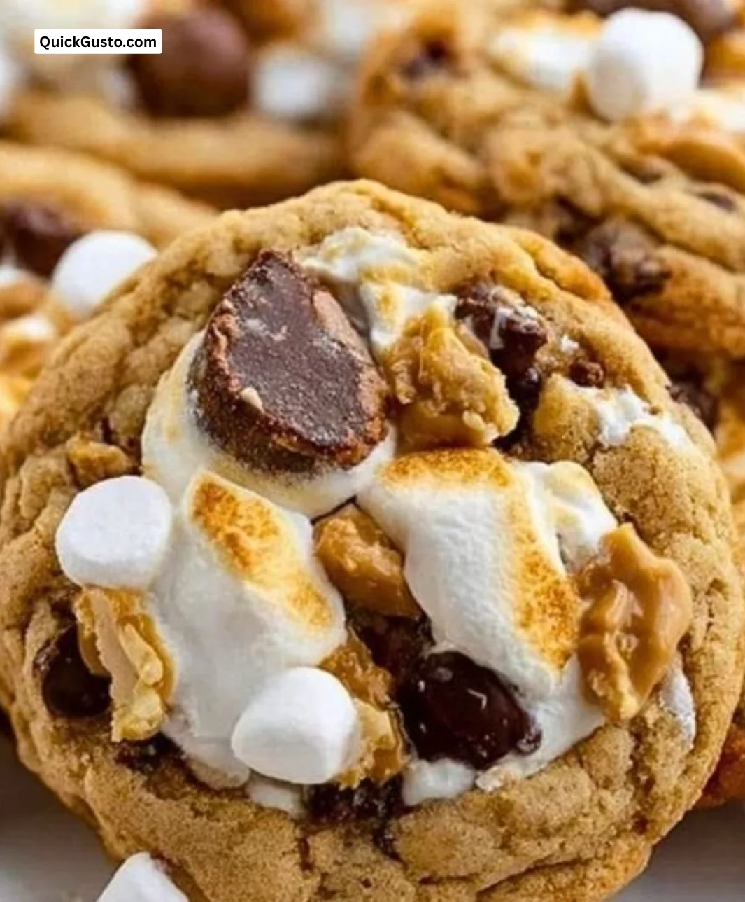 Delicious Chocolate Peanut Butter Marshmallow Cookies on a plate.