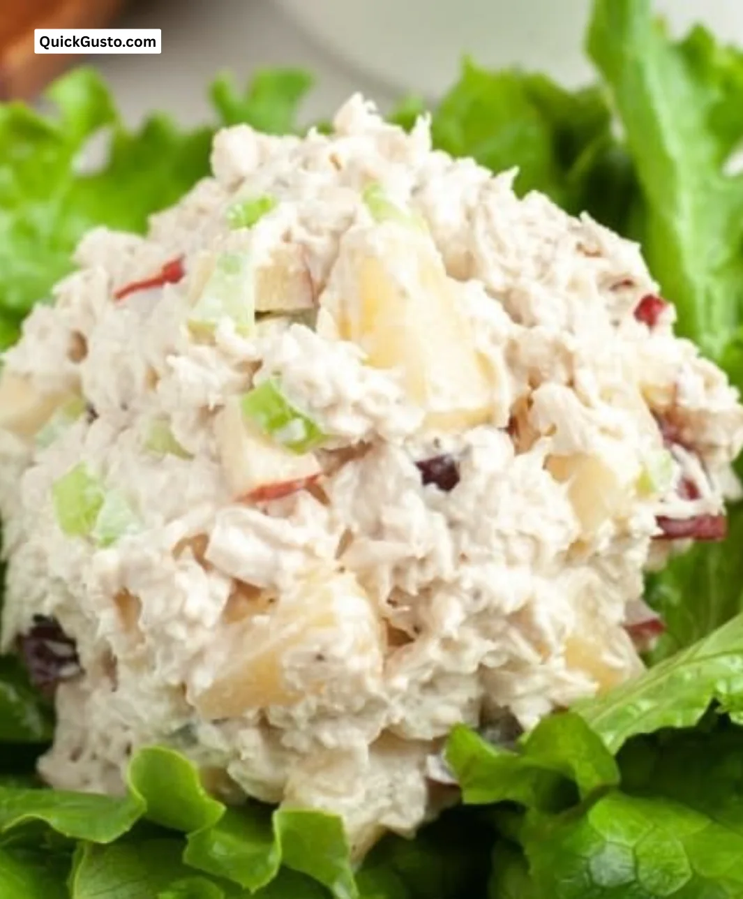 Copycat Chicken Salad Chick Fruity Fran with savory and sweet flavors