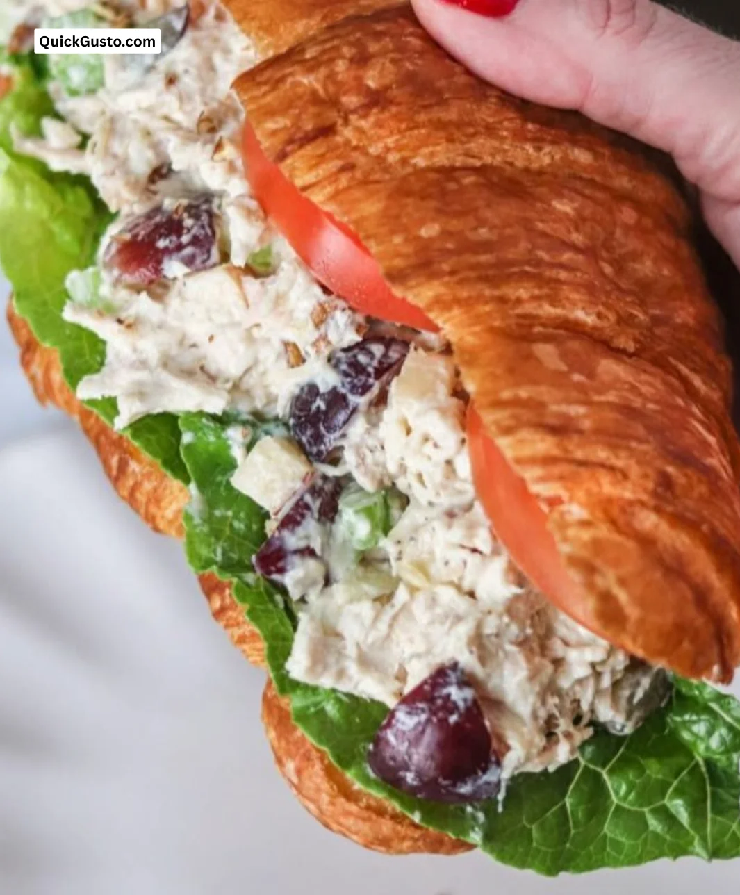 Fancy Nancy Chicken Salad with colorful veggies and herbs on a plate