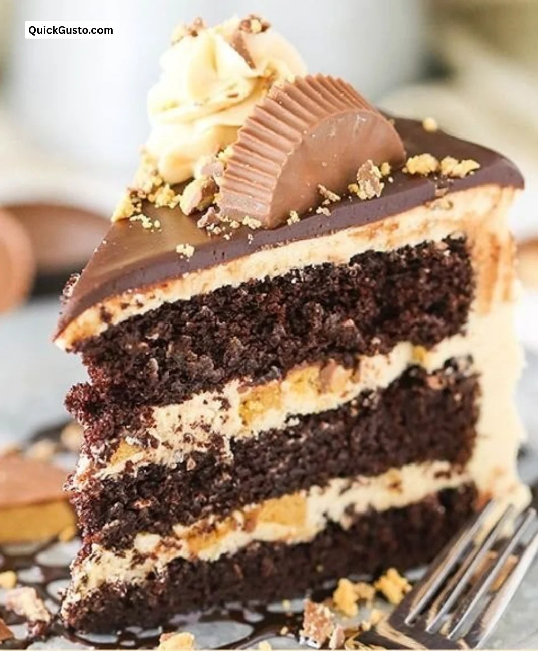 Delicious peanut butter chocolate layer cake with rich frosting