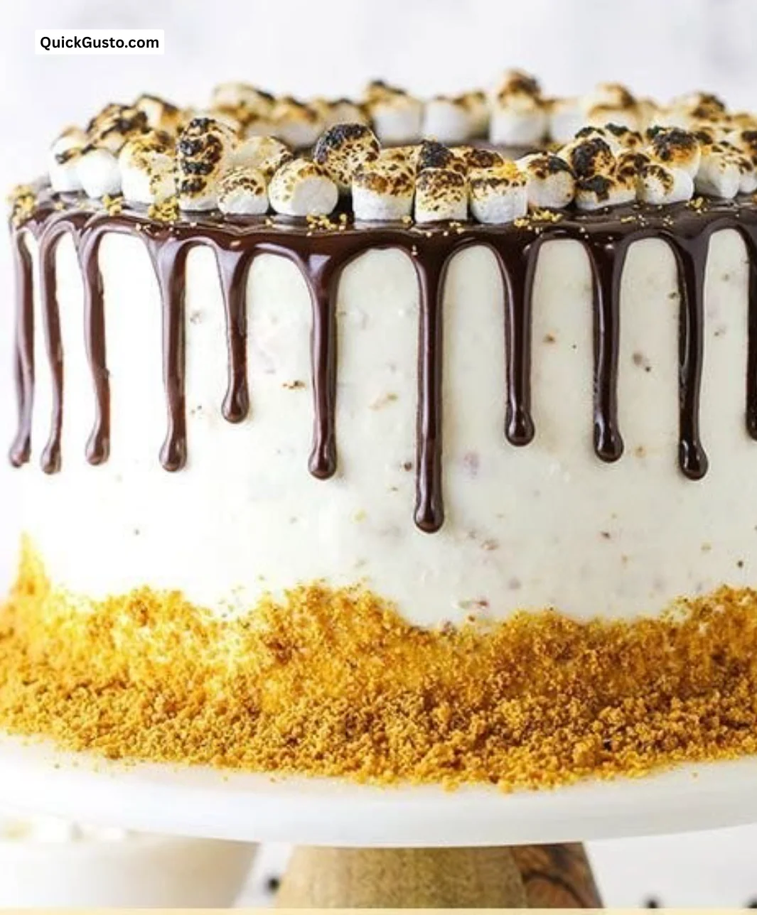 Delicious Smores Chocolate Cake topped with marshmallows and chocolate ganache.