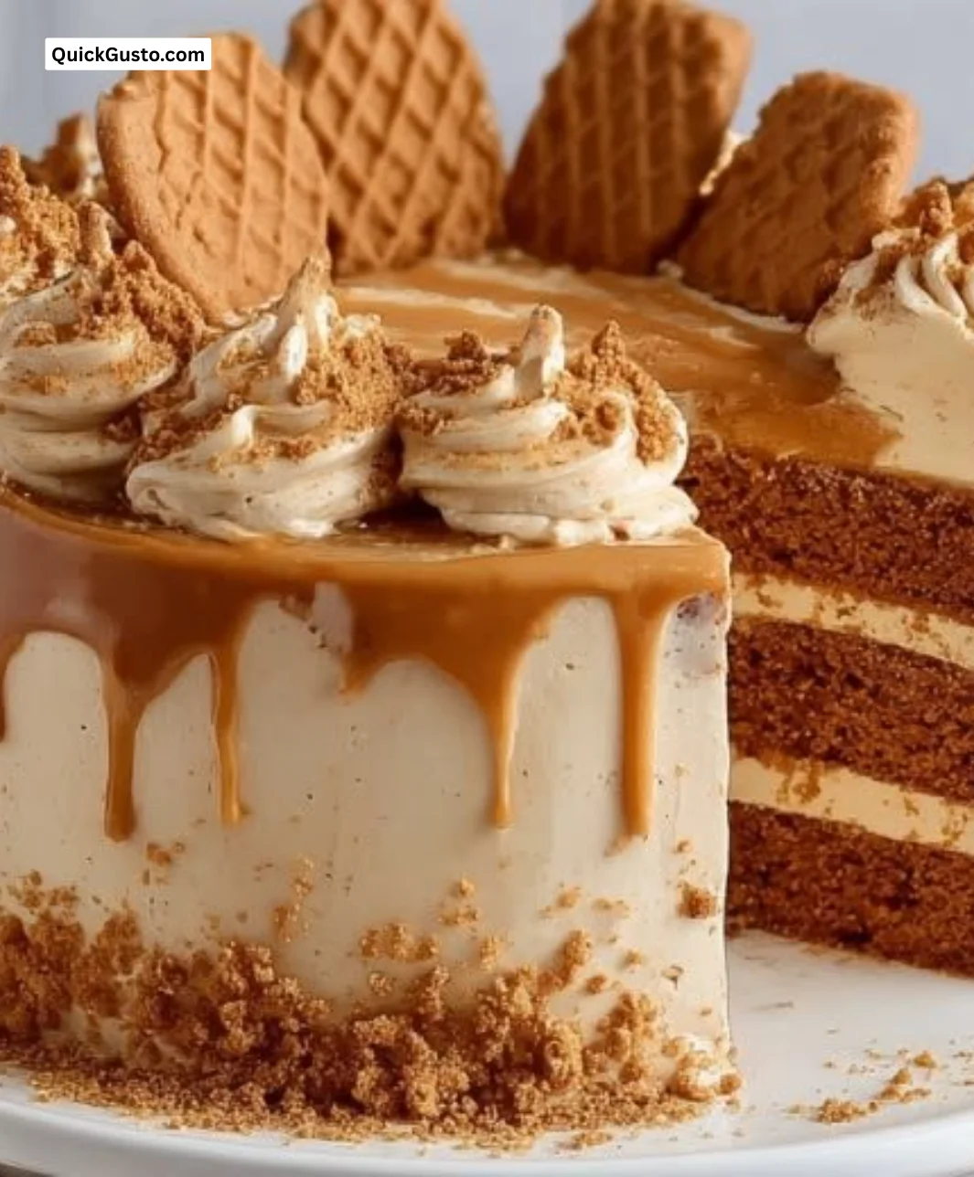 Delicious Biscoff cake topped with creamy frosting and Biscoff crumbs