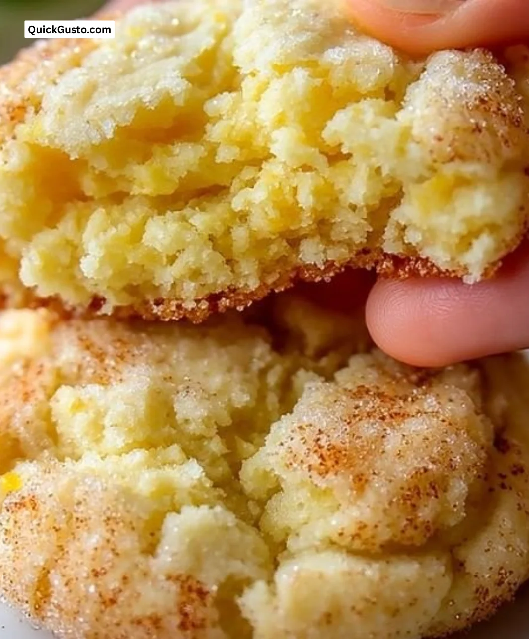 Buttery lemon snickerdoodles fresh out of the oven, topped with sugar