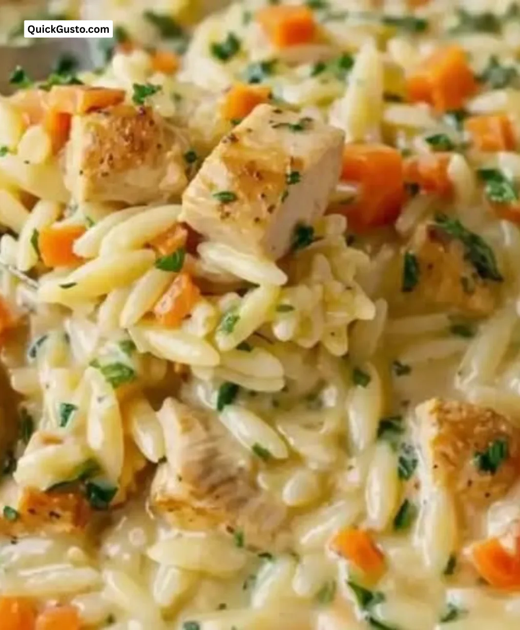 Delicious chicken pot pie orzo in a creamy sauce, perfect for a cozy meal.