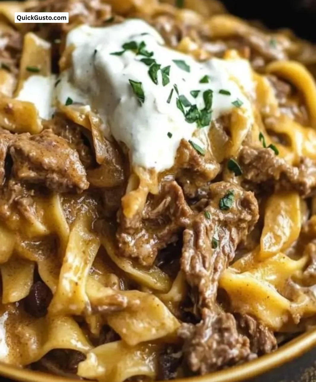 Crock Pot French Onion Beef and Noodles in a hearty bowl