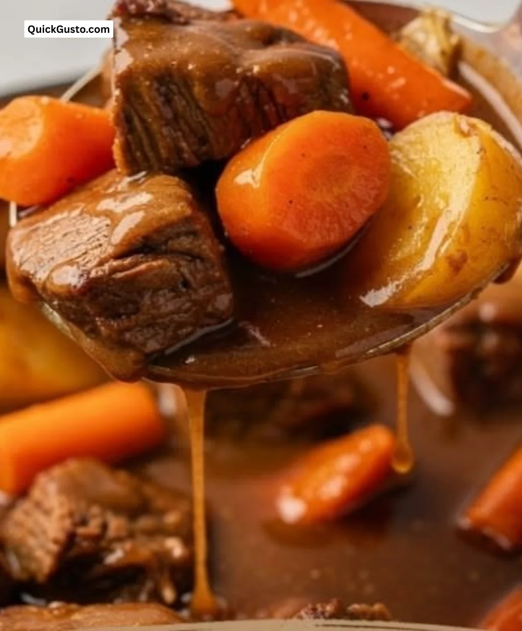 Delicious one pot easy beef stew recipe with vegetables and tender meat.
