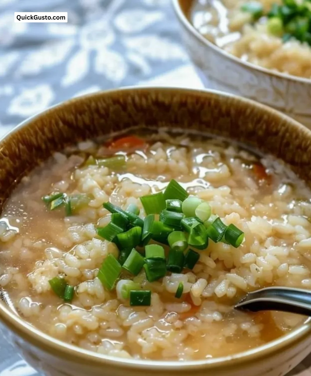 Healing Zosui - Nourishing rice porridge for wellness and comfort.