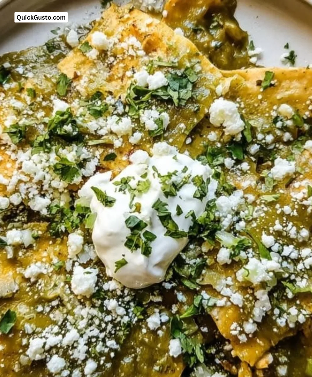 Delicious plate of Chilaquiles Verdes with green salsa and garnishes