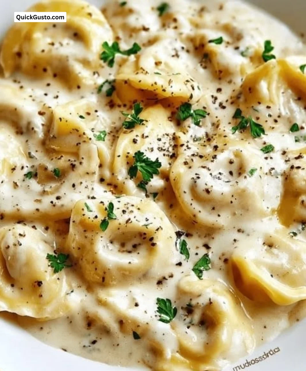 Creamy garlic butter sauce drizzled over tortellini pasta