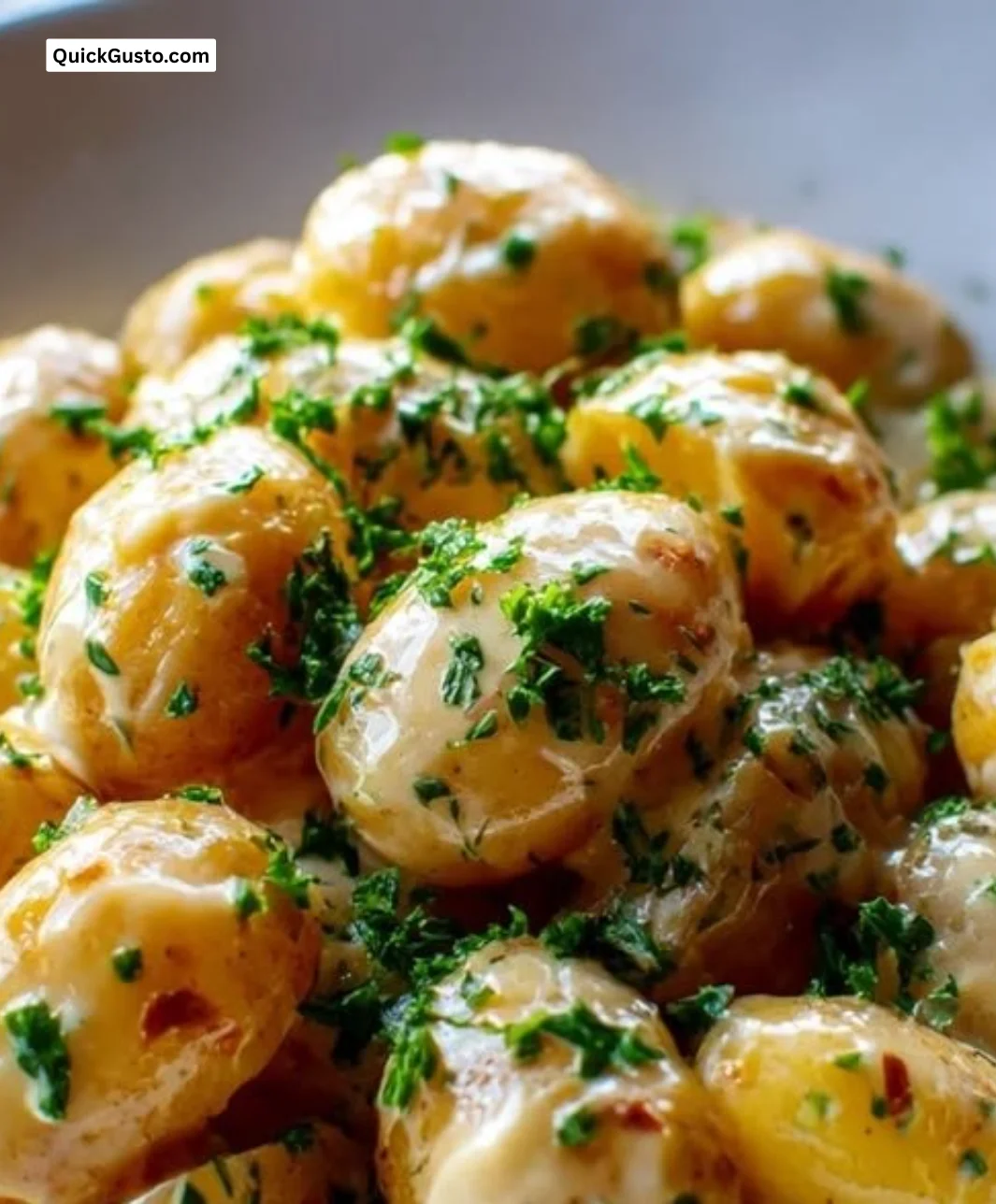 Creamy garlic sauce baby potatoes served on a plate with herbs