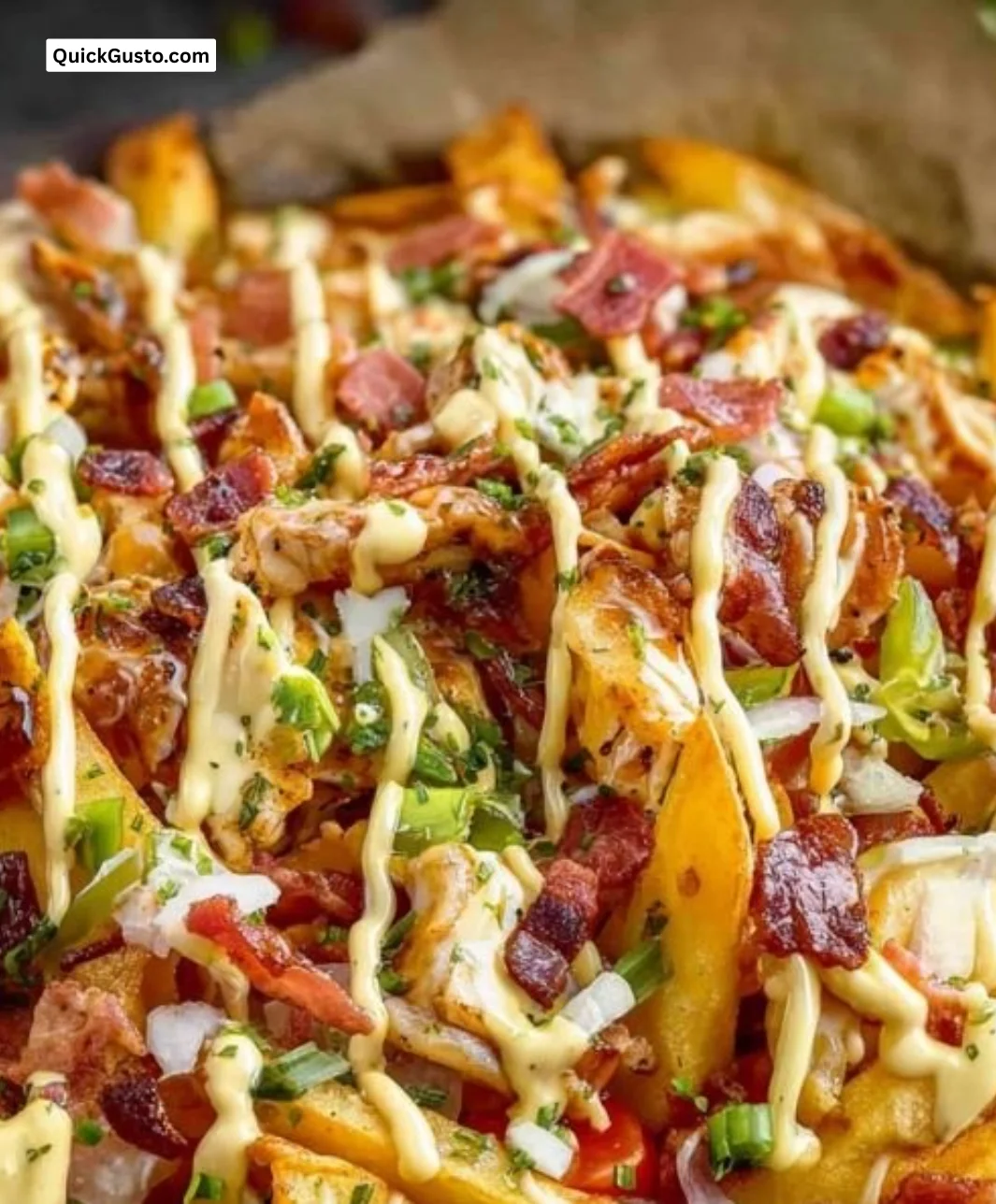 Dirty Chicken and Bacon Loaded Fries with crispy toppings and creamy sauce