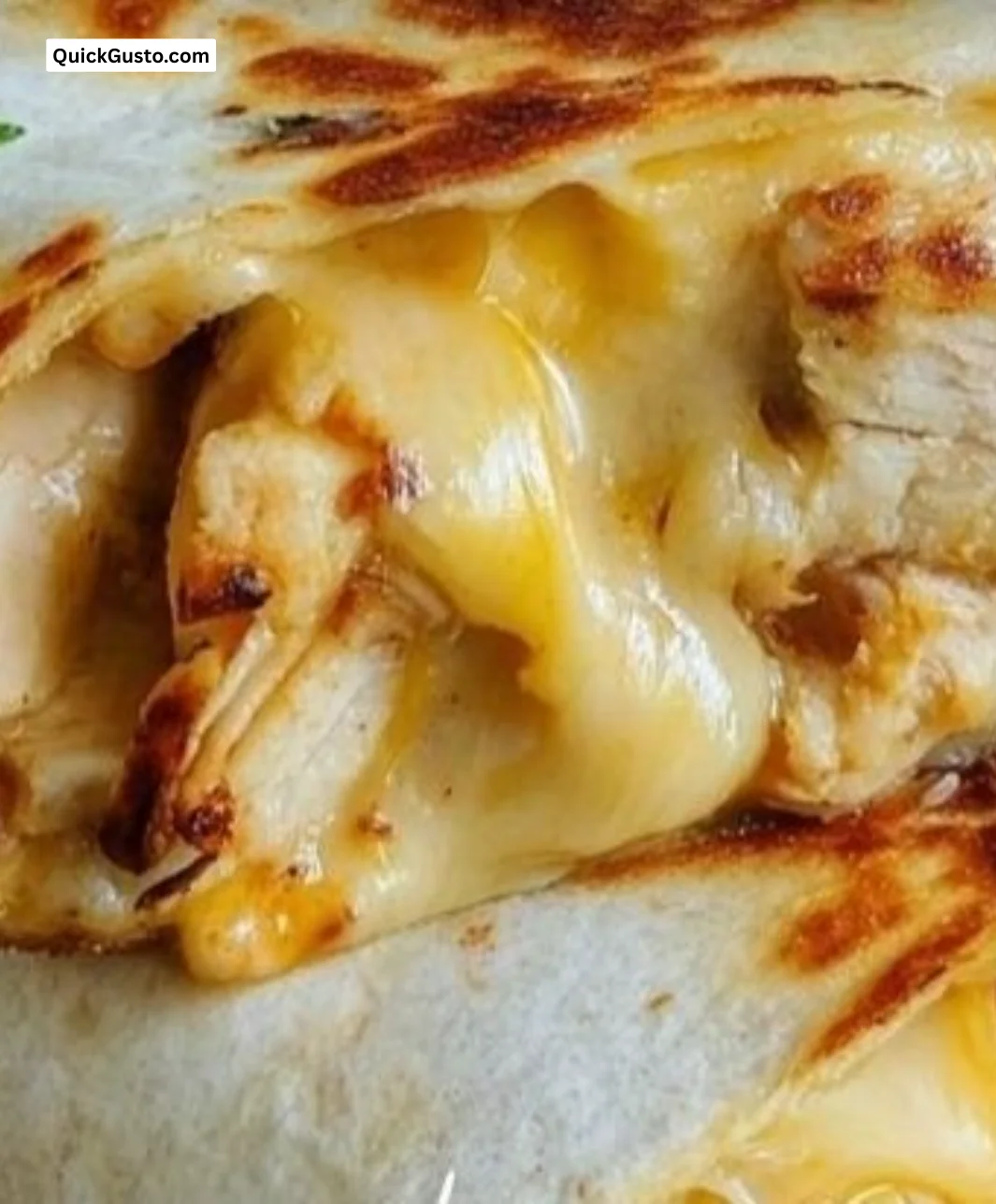 Garlic Chicken Wraps with fresh vegetables and sauce