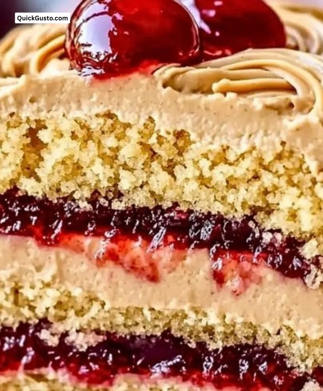 Delicious Peanut Butter Jelly Cake topped with creamy peanut butter and vibrant jelly.