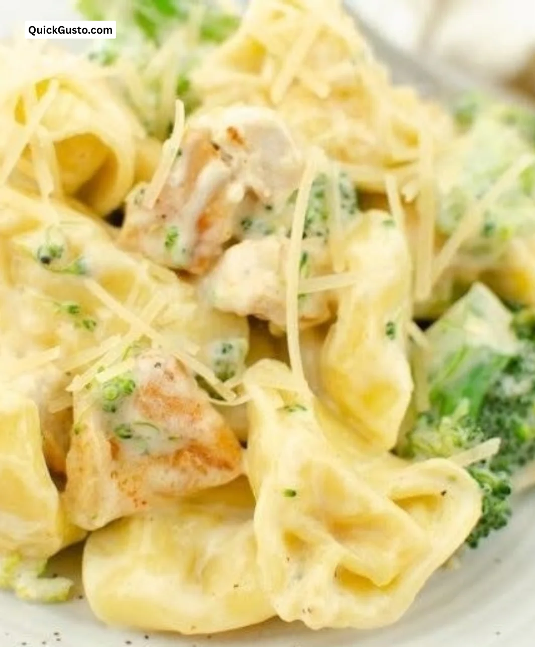 Delicious homemade Italian pasta served with fresh ingredients