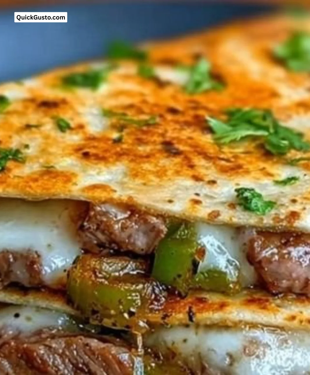 Delicious steak and cheese quesadillas on a plate