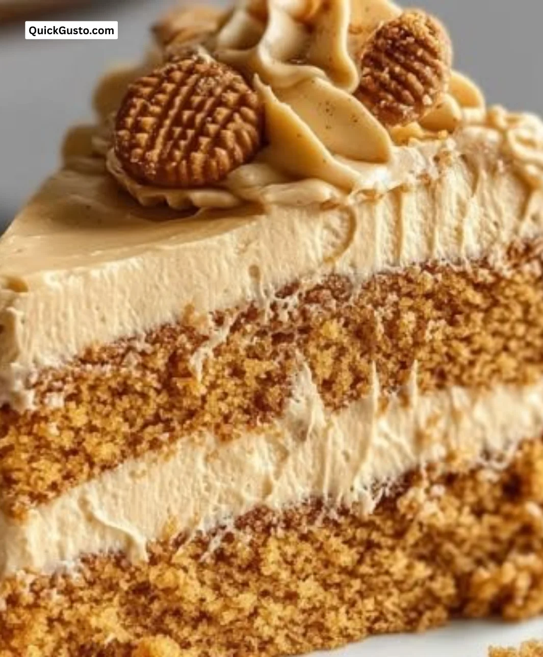 Delicious Biscoff Cookie Butter Cake with layers of creamy frosting
